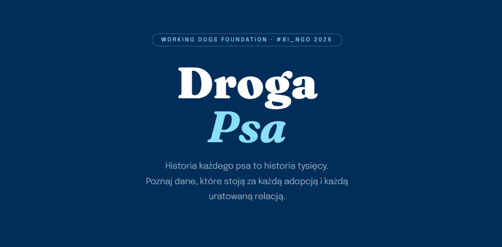 Ekran tytułowy projektu Droga Psa - data storytelling o bezdomności psów w Polsce