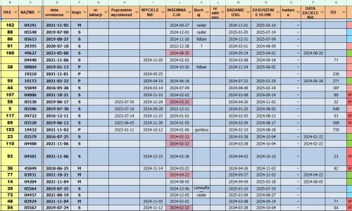 Google Sheet automatyzacja hodowla była